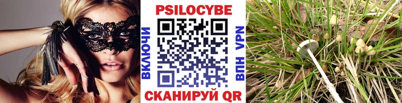 Псилоцибиновые грибы мухоморы Южно-Сухокумск